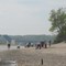 Dog-friendly beach