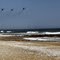 Spring Maneuvers Over Manasquan Beach