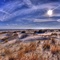 Cedar Beach