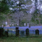Bluebonnets in Old Settlers Cemetery -- Livingston, Texas
