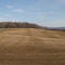 Lechworth Farm Feild