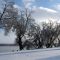 Silver Lake in Winter...Around 3PM In Afternoon In Mid Jan.......(1622394350)
