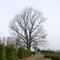Newport bridge rd-Warwick-NY