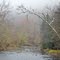 Herbst im Beaver Creek Park