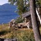 Long Lake - Adirondacks