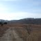 Cedar Gap Road