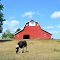 Red Barn (US-136)