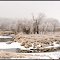 Buffalo River