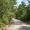 Alabama Backwoods Road