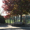 Camera Park