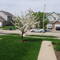 sidewalk nghbrhood