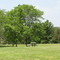 Missouri rest area