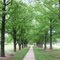 Ber Juan Park