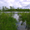 Fisher's Pond