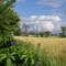 A Cloudy Day Near Acton Ontario
