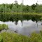 Unnamed kettle hole pond from the W