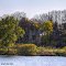 Land Rises Out of the Grand River Floodplain at Maplewood Park