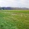 Grand River Floodplain and Moraine (Panoramic)