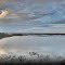 High Tide