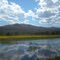 Field Flooded with River Water