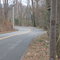 Road in the fall