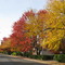 L automne