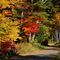 Eunice Williams Drive, Greenfield, MA