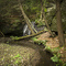 Below Gunn Falls
