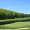 Crumpin Fox-Hole 8 (From Green)