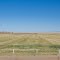 Stonegate Turfgrass Ranch