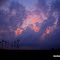 Wind Mills during Sunset near Montague, TX