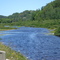 Root River