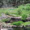 Black Canyon Creek Fish Barrier