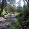 Black Canyon Creek above Diamond Bar Ranch