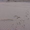 my dad walking around in a huge sandpit