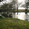 Stagecoach Inn Pond