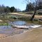 2013_04-06_Ravia Oklahoma_P1000587