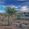 Mojave Desert & Clouds