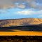 The colors of the desert