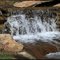 Rogers Hot Spring, Lake Mead National Recreation Area 8.9.2011 ... C