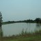 Amos Bayou