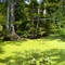 Reelfoot National Wildlife Refuge