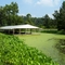 Reelfoot Lake