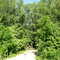 Brewer Basin