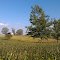 Tabor Place, Hohenwald Tennessee