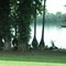 Fat-bottomed trees on Lake Providence
