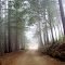  Kings Peak  Road DSC_0125