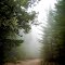  Kings Peak Road DSC_0079