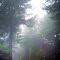  Kings Peak Road DSC_0118