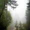 Kings Peak Road DSC_0119